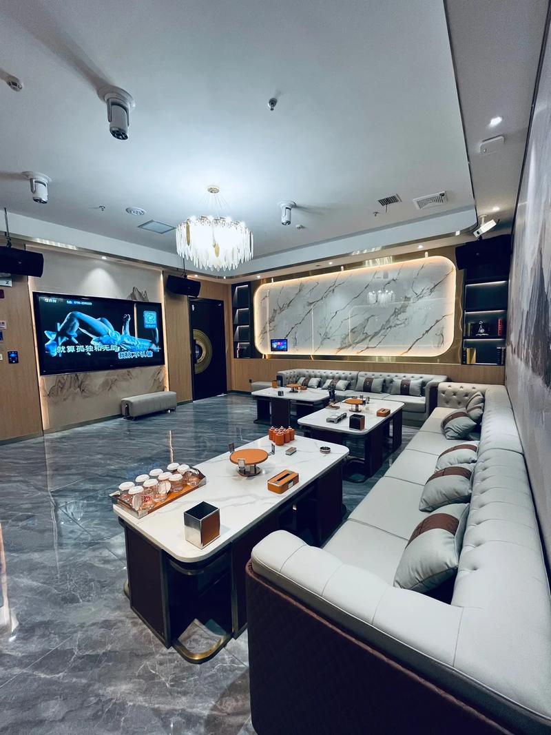 南宁商务ktv高端场所推荐-隆安县ktv预订